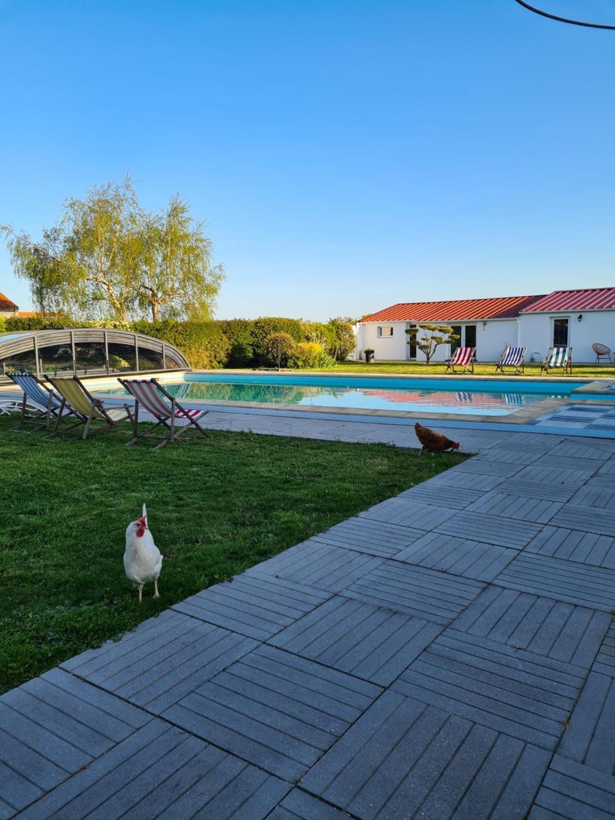 Ty Grain De Sel : Logement Privatif Avec Piscine, Jardin Et Patio Chauve Ngoại thất bức ảnh